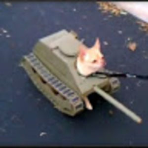 Meet your Posher, Leah